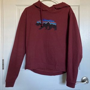 Patagonia hoodie